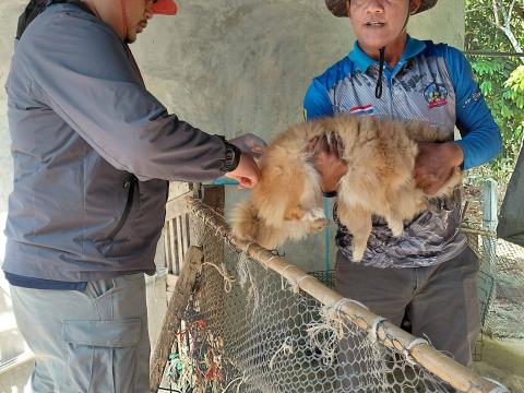 โครงการรณรงค์ฉีดวัคซีนป้องกันโรคพิษสุนัขบ้า ประจำปีงบประมาณ 2569 วันที่ 20 กุมภาพันธ์ 2569